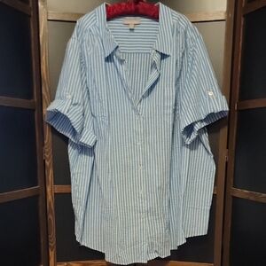 Woman Within Nautical Blue and White Top